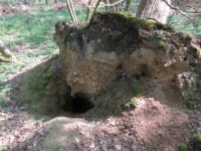 Höhle unter umgestürzten Baum