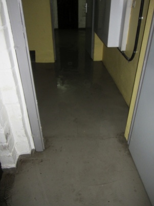 1 cm Wasser auf dem Kellerfußboden (das meiste floss in die teifer gelegene Waschküche ab)